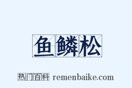 鱼鳞松是什么意思的图片